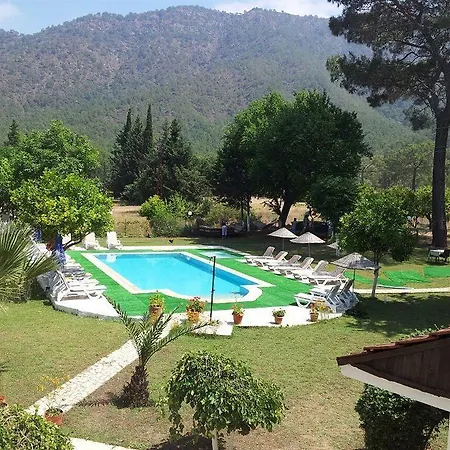 Maviay 2*