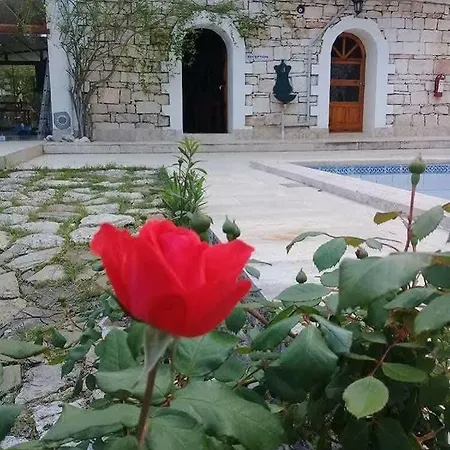 Maviay Kumluca