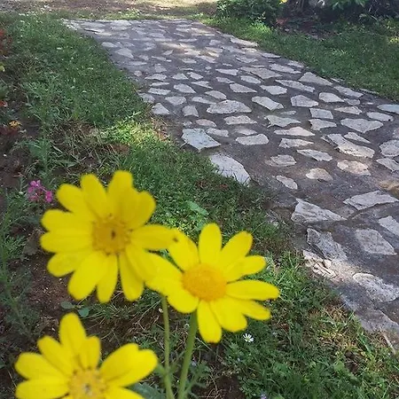 Maviay Hotel Kumluca