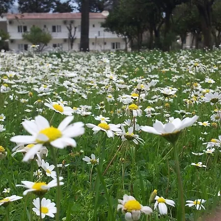 Maviay 2* Kumluca