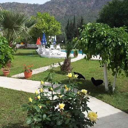 Hotel Maviay